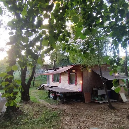 Camping Old Chalet *
